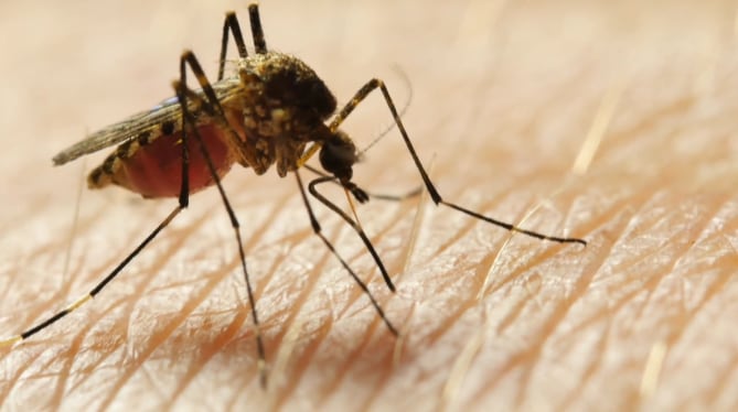 Mobile County Health Department begins mosquito spraying - Vimarsana News