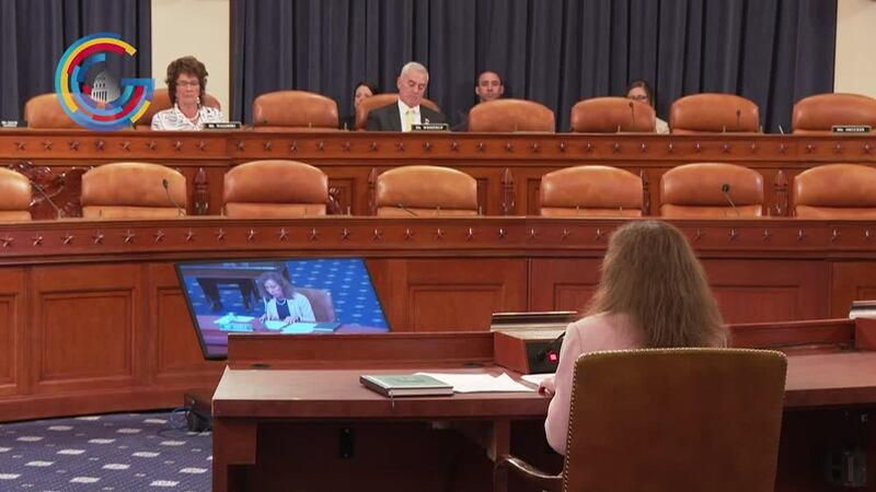 Debie Coble, President and CEO, Goodwill Industries of Michiana, Inc. testifies at a House...
