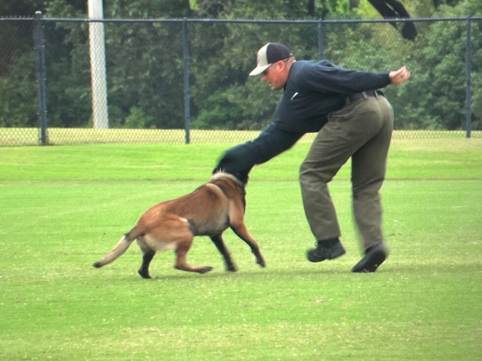 Eighty police canine teams from across the country spent the week in Foley performing a...